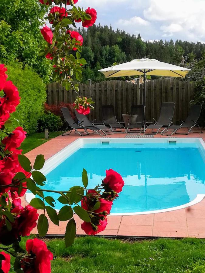Ferienwohnung Mit Pool In Woerthersee Naehe Dellach  Buitenkant foto